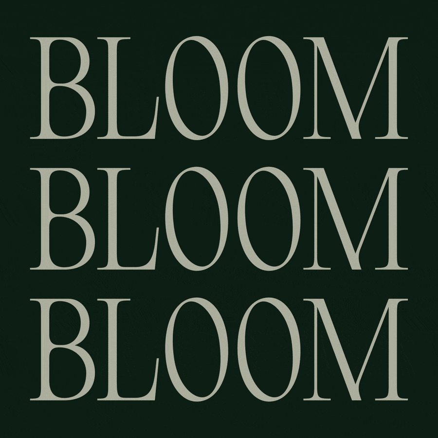 Bloom
