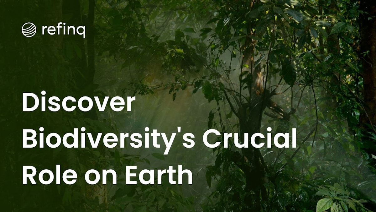 The roel of Biodiversity