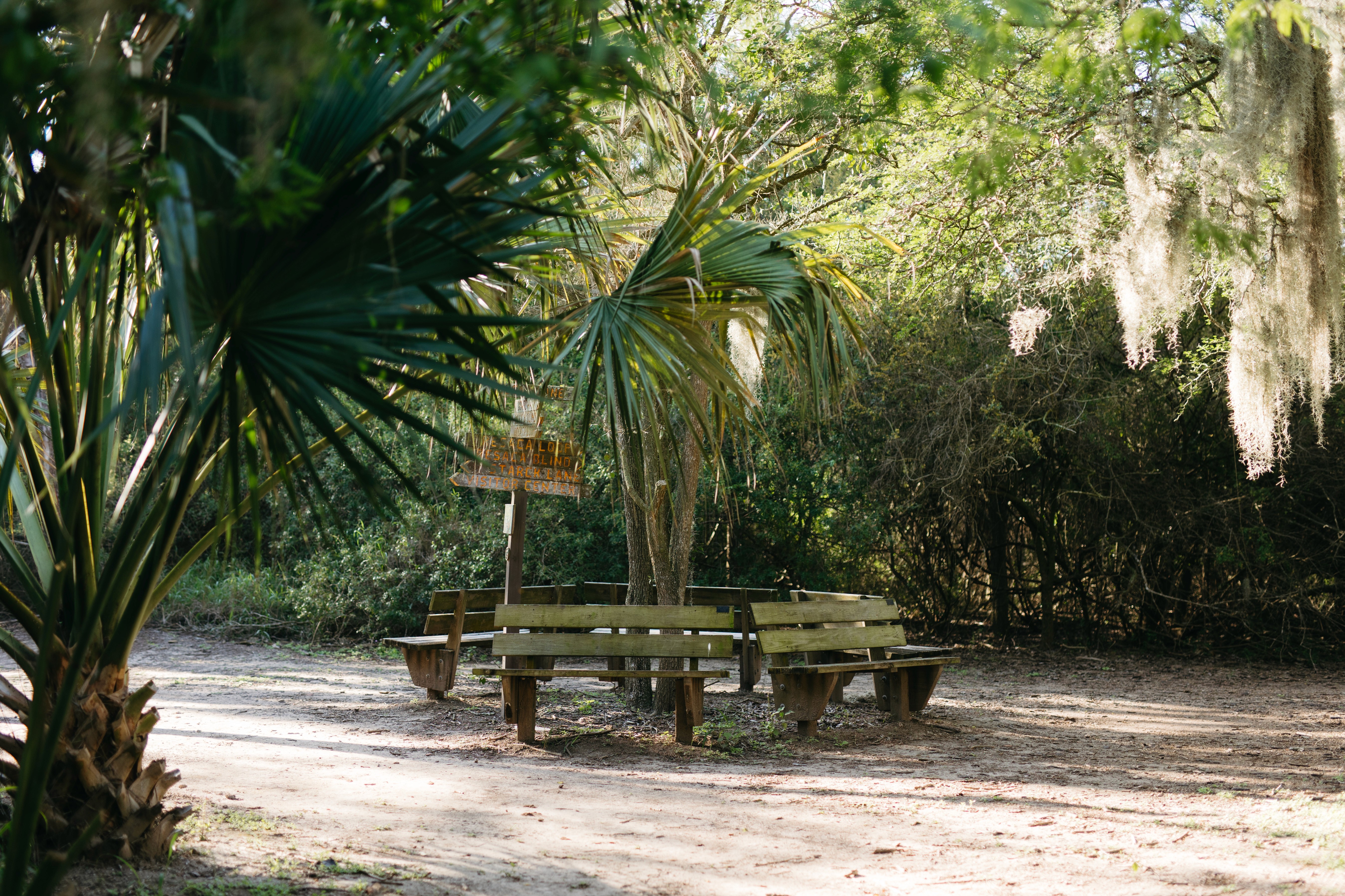 two people in kayaks paddling on the water