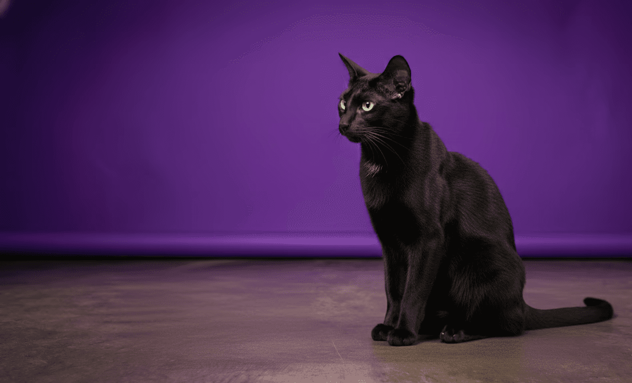 A man learning to surf