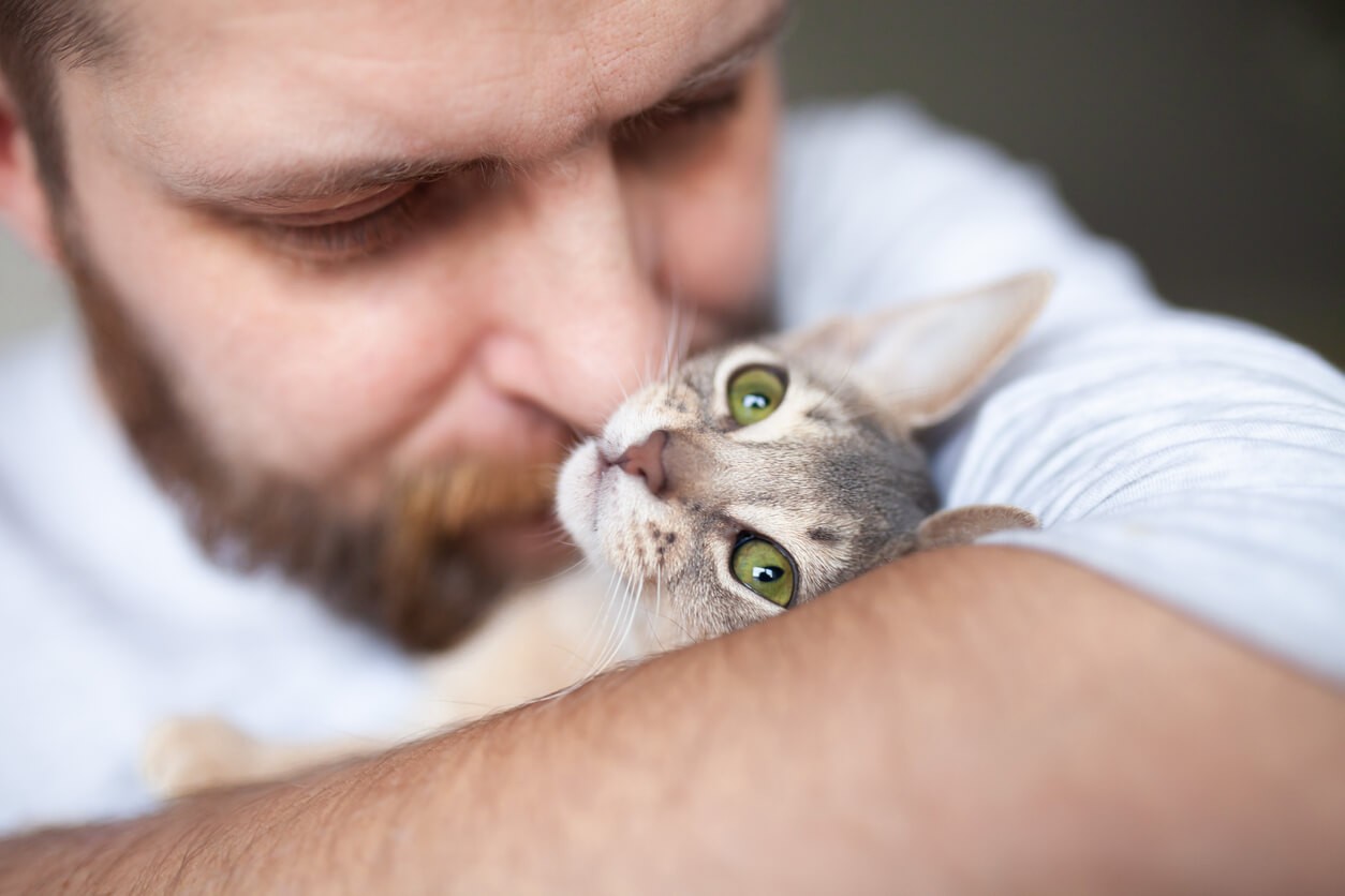 man with beard snuggling cat in his arms