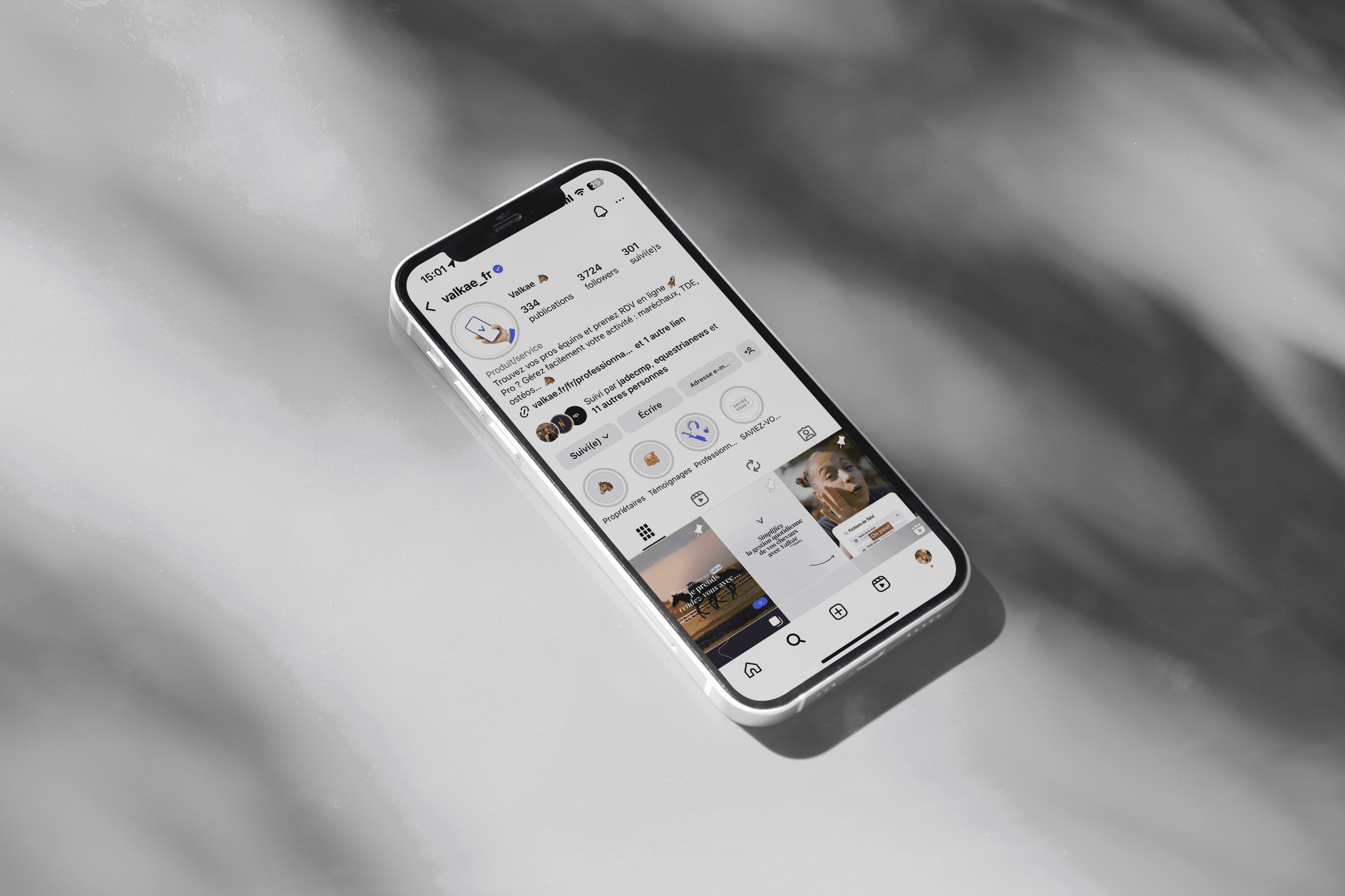 community-management-cheval