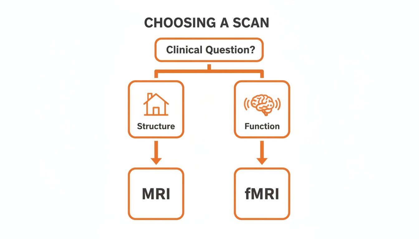 Flowchart illustrating how to choose between MRI for structure and fMRI for function based on a clinical question.