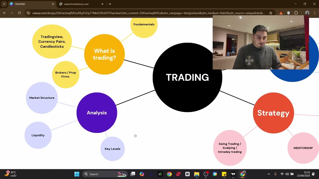 Beginners Guide To Trading