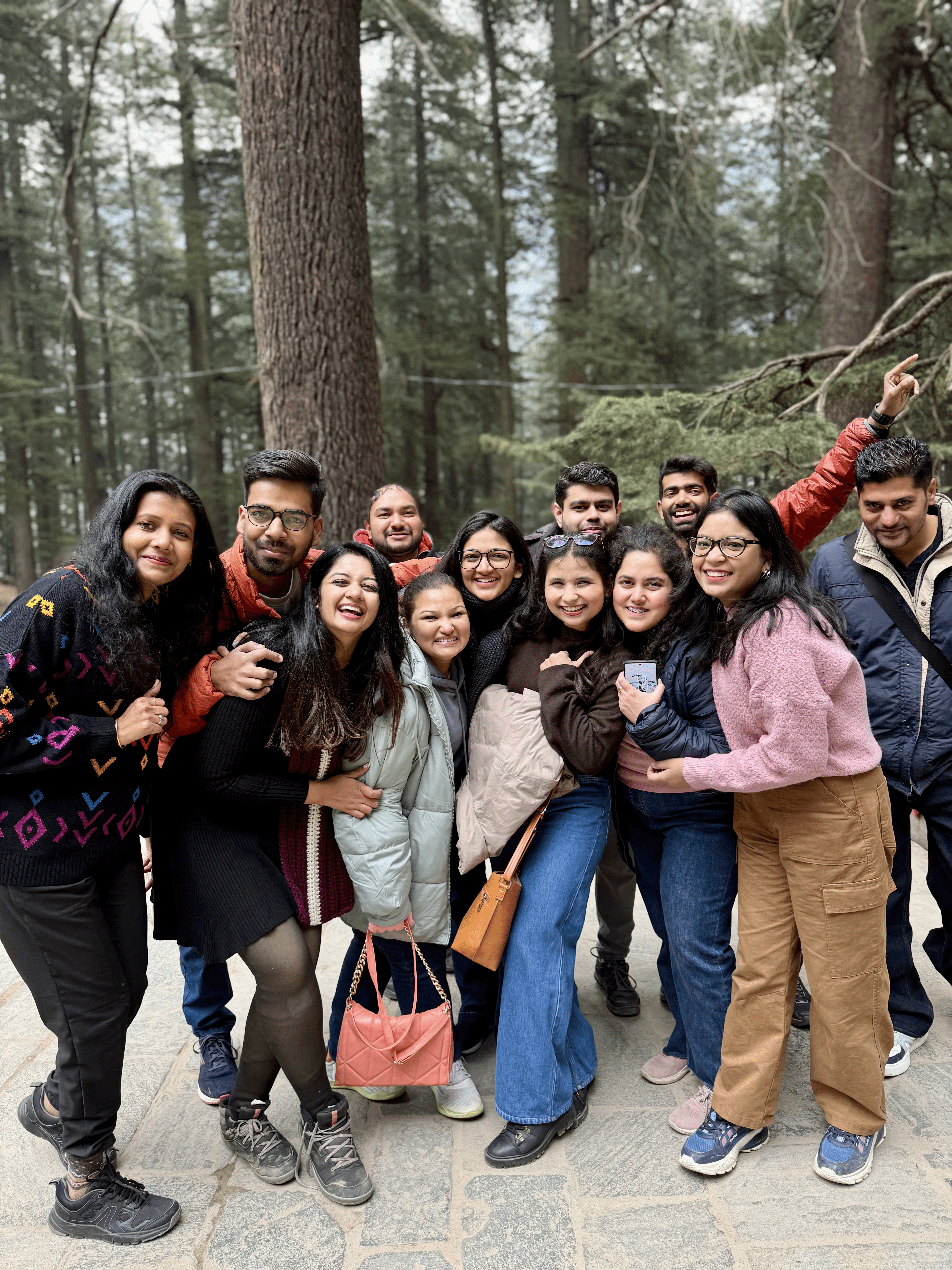 modern living room and kitchen with wooden cabinets and soft natural light