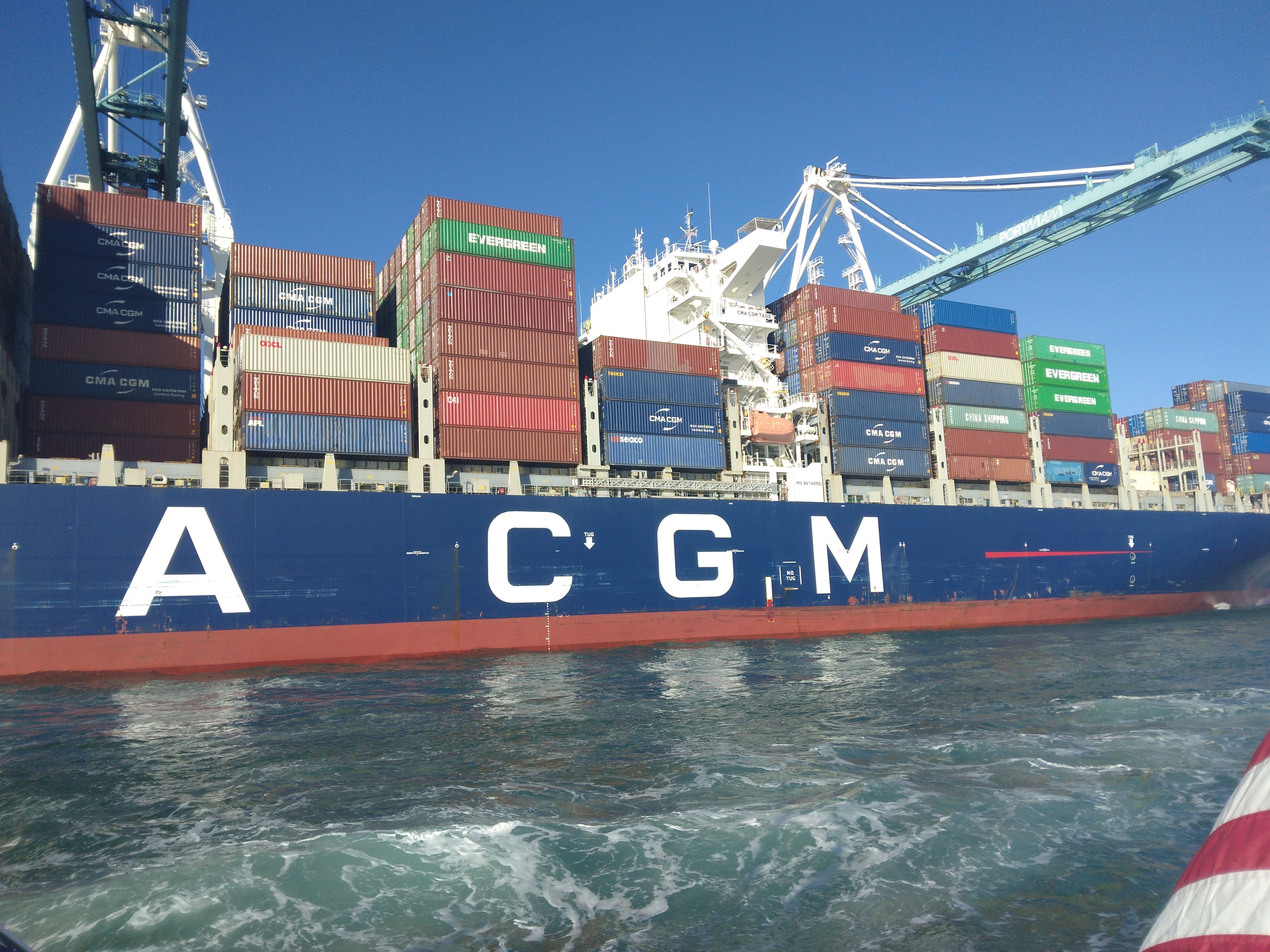 brown and white cattle in green field viewing mountain under blue sky during daytime