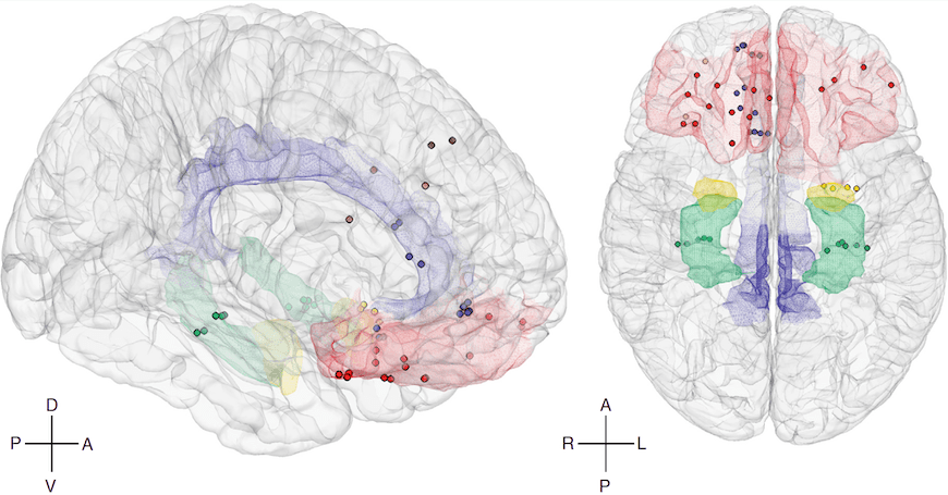 Computational Neuroscience Diagram depicts neural modeling of the human brain and various parts of the brain showing emotions.