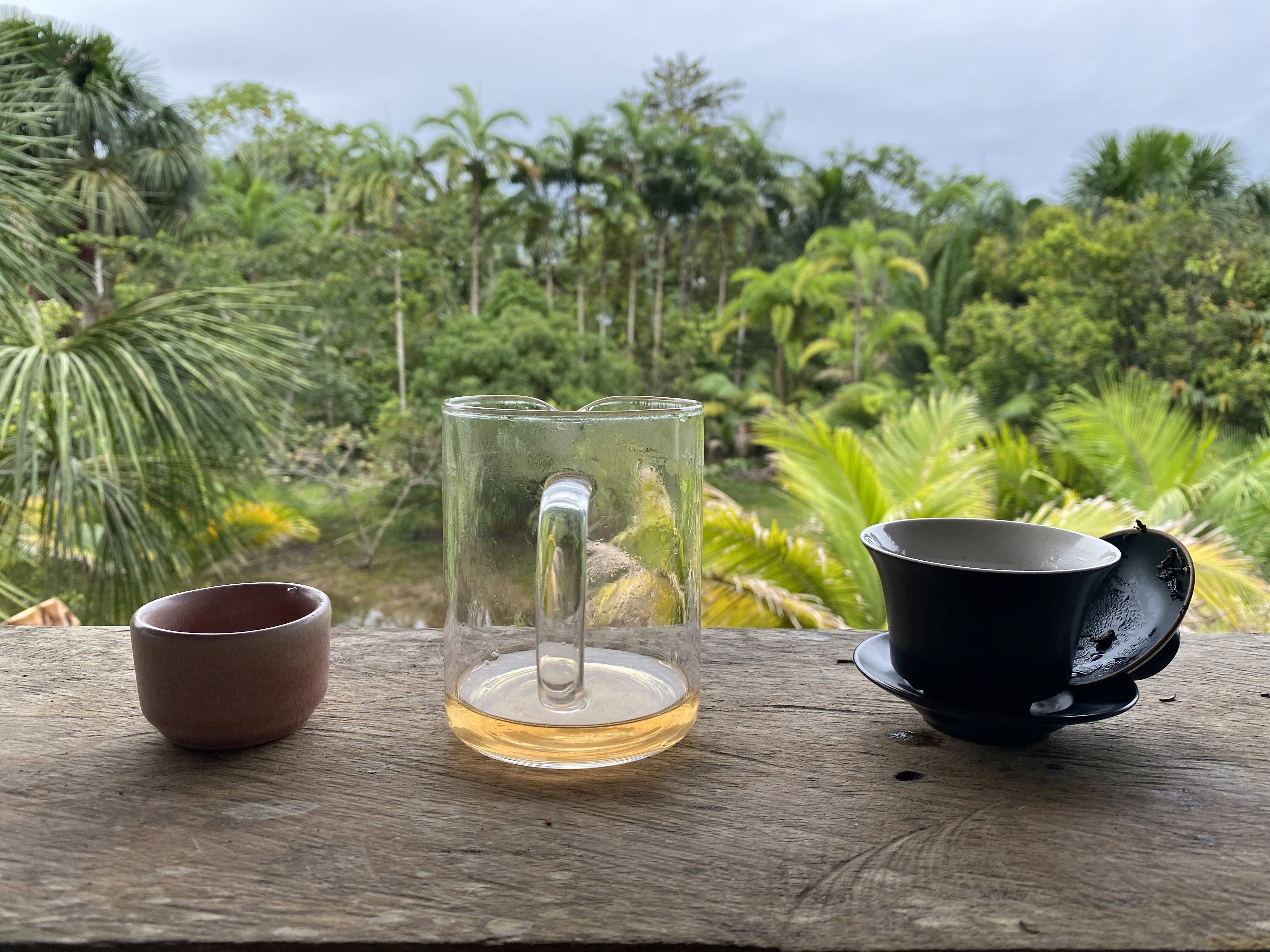 Tea Time in the Jungle