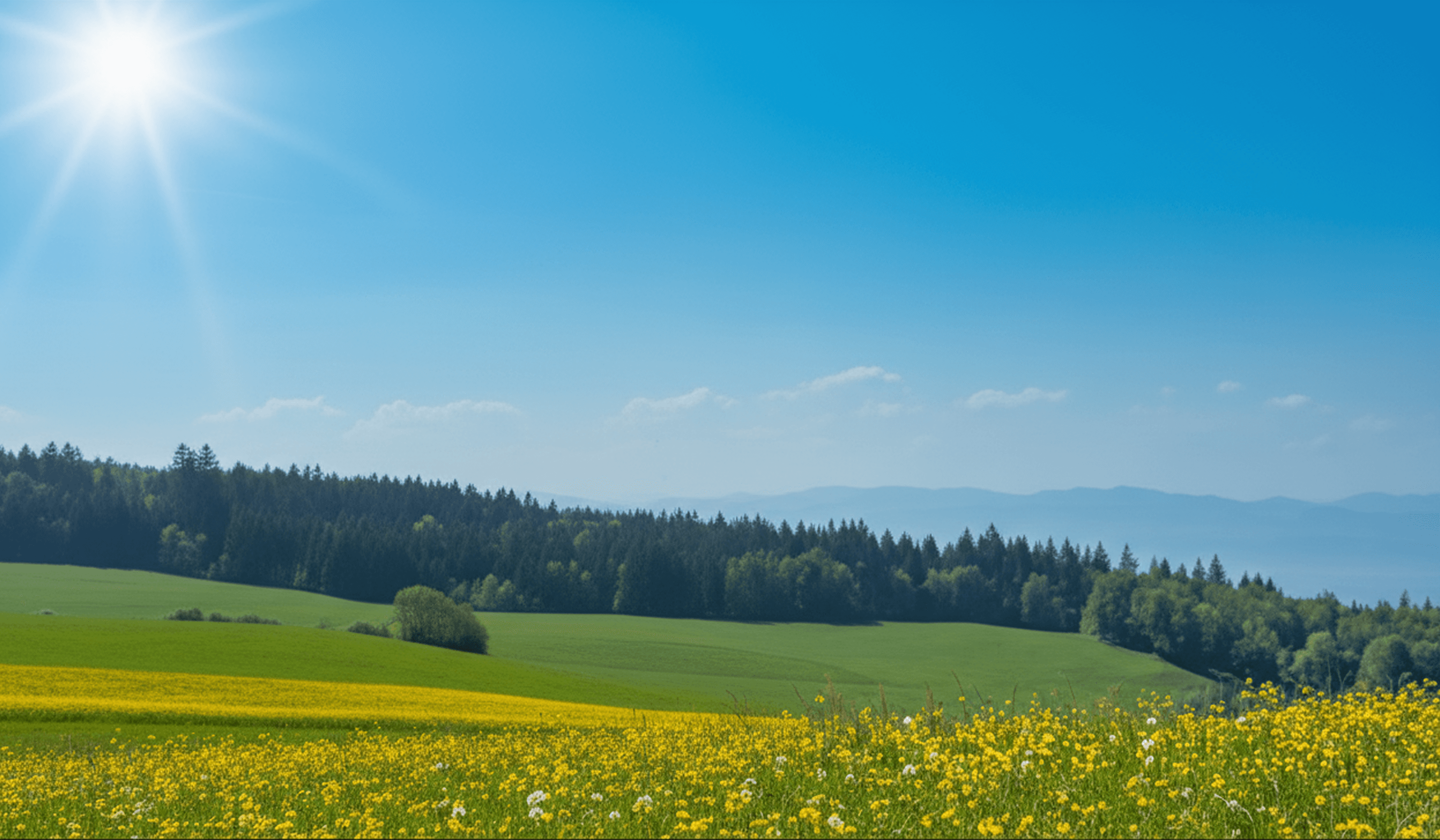 Portret van Joachim en Linus Koschel buiten in het groen.