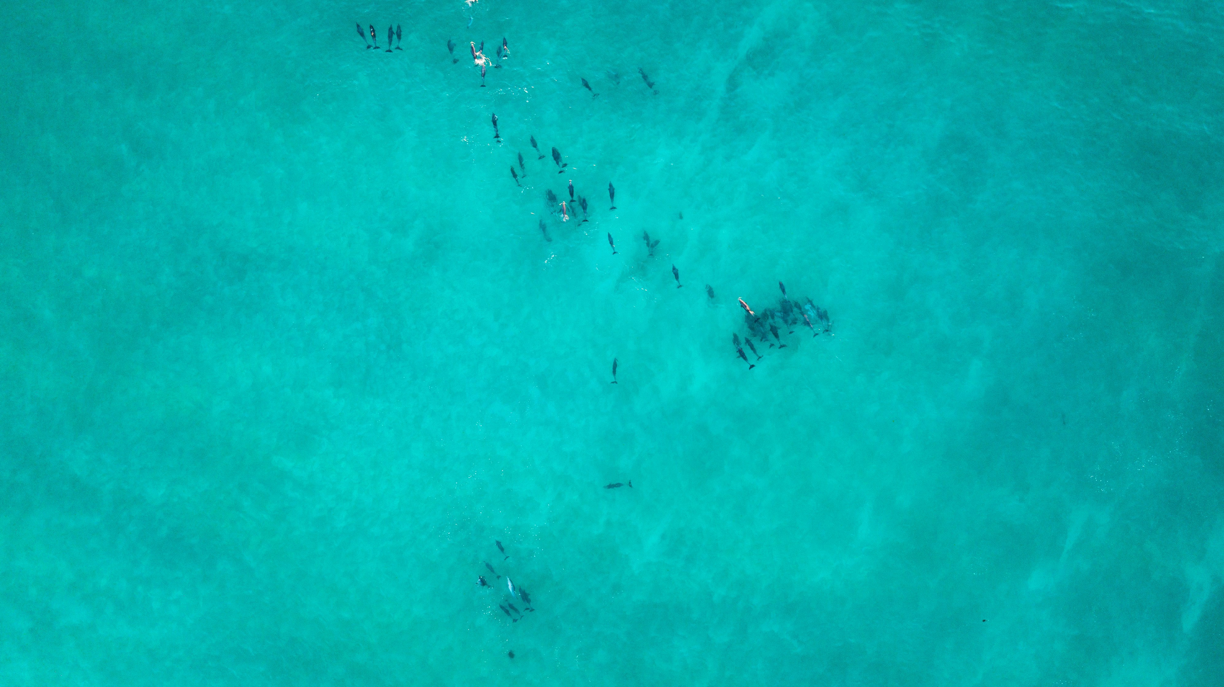people on body of water