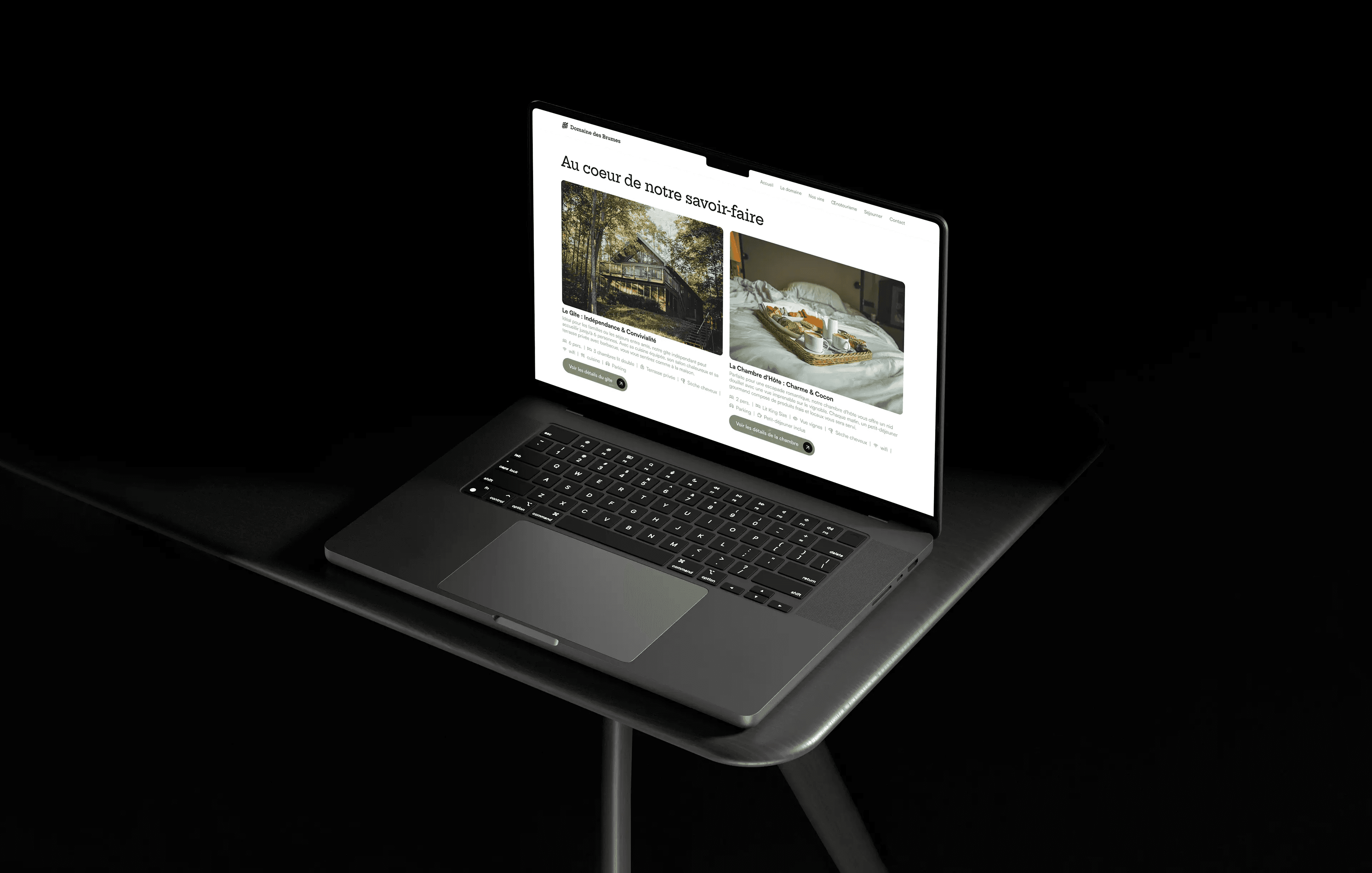 Site du Domaine des Brumes affiché sur un ordinateur portable, avec présentation des hébergements