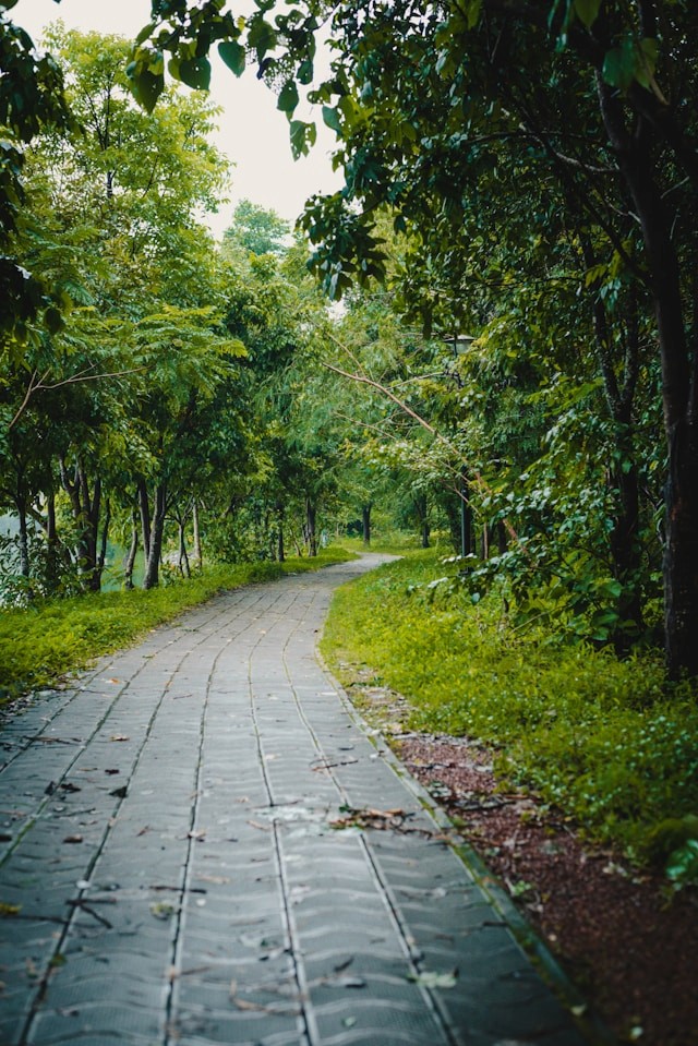 Outdoor setting - Funado Care Services independent and supported living at Funado care services, Maryland