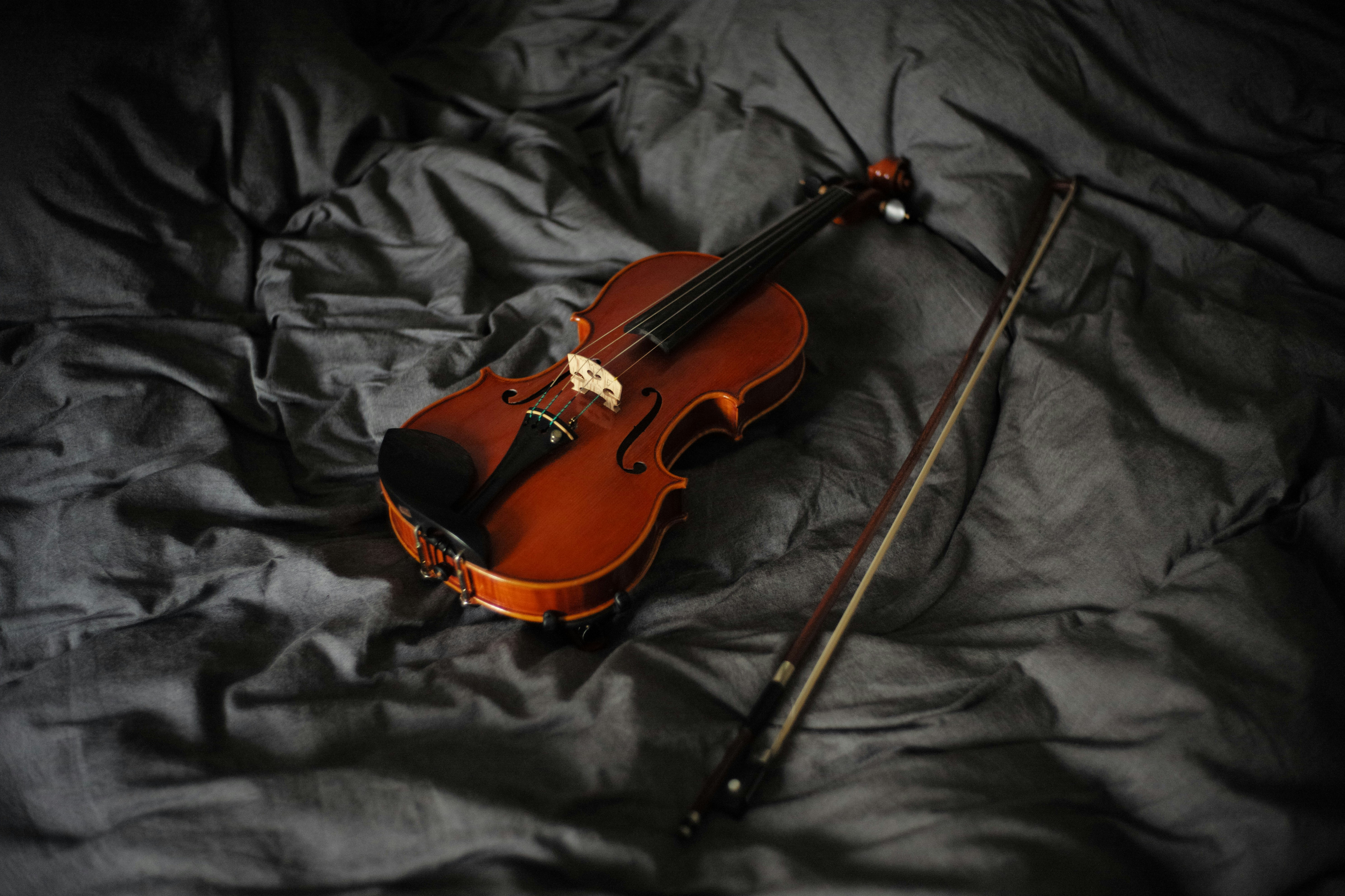 violin