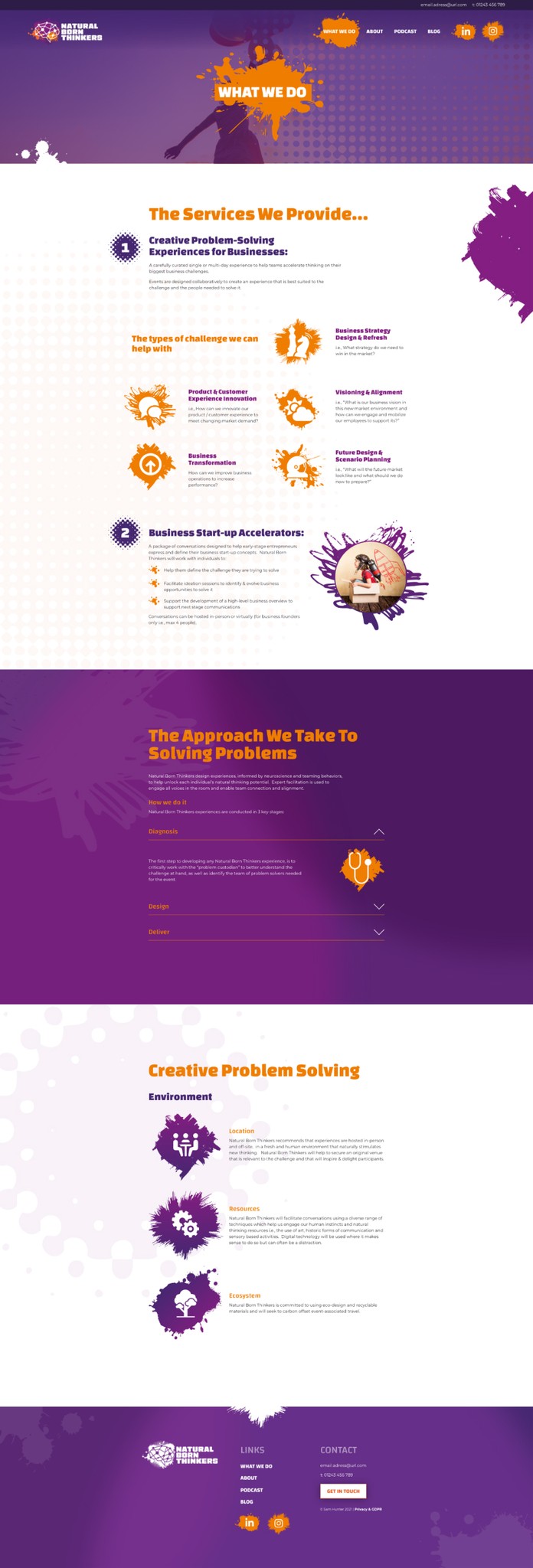 Natural Born Thinkers website design