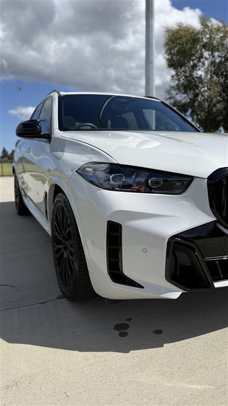 closeup photo of green grass ground