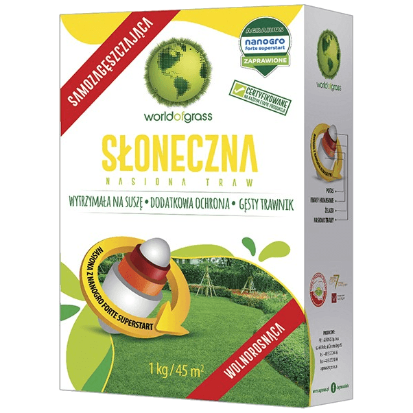 Słoneczna