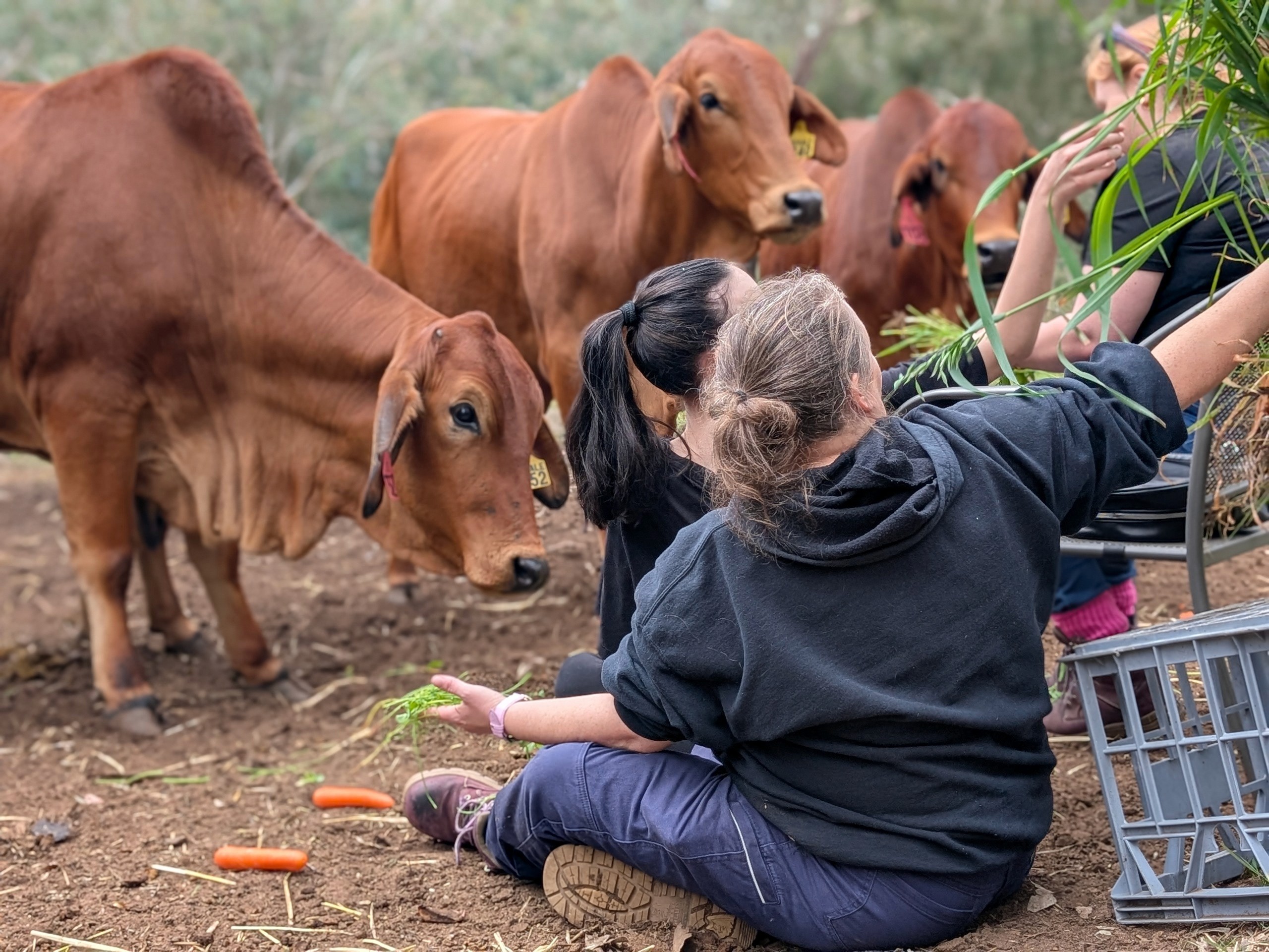 A couple in formal wedding attire embraces intimately in a vast.