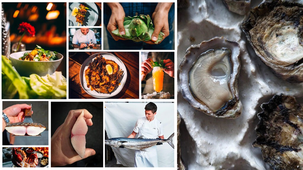 Big Fin Seafood Work Sample