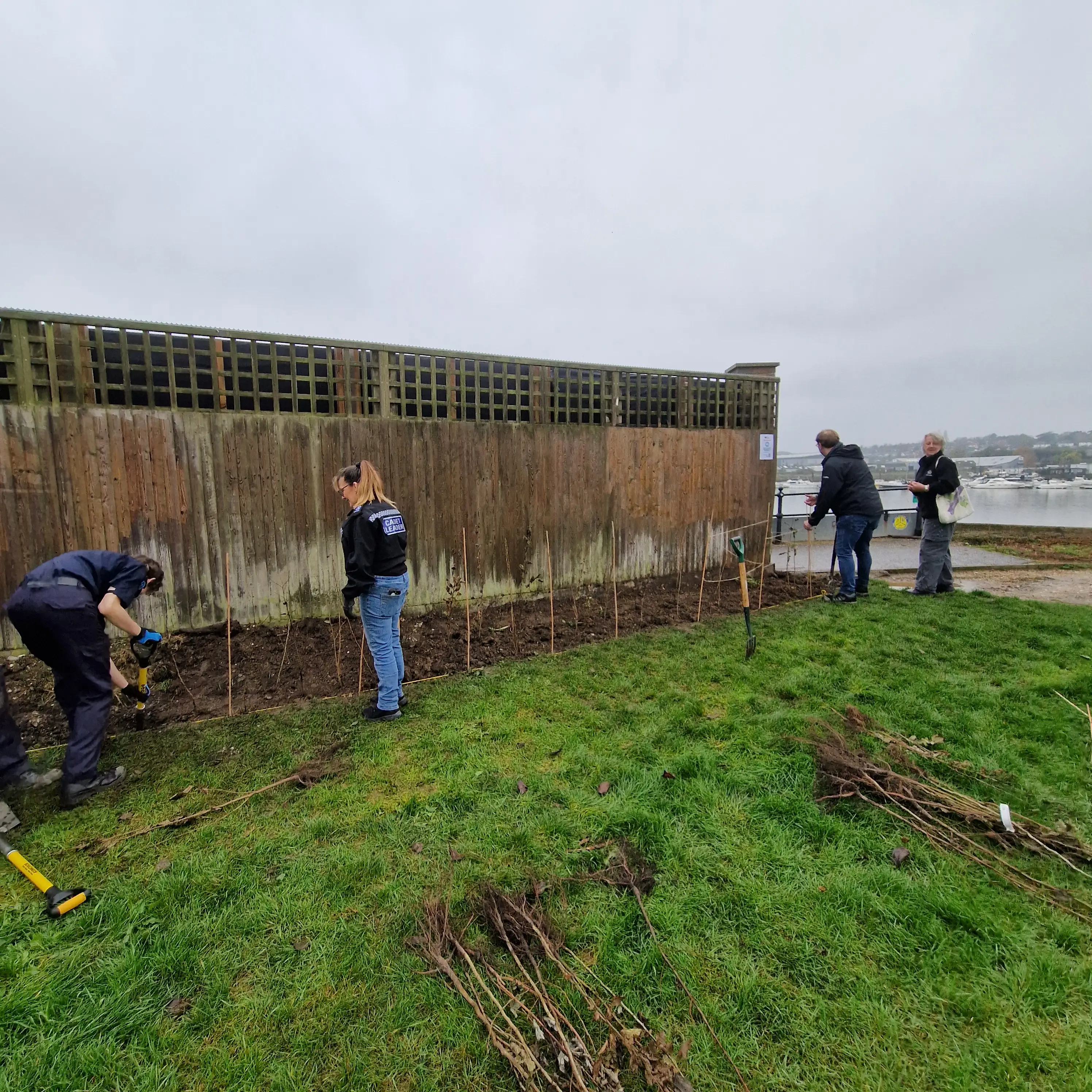 People working in a green field, tending to plants near a wooden fence under a cloudy sky.