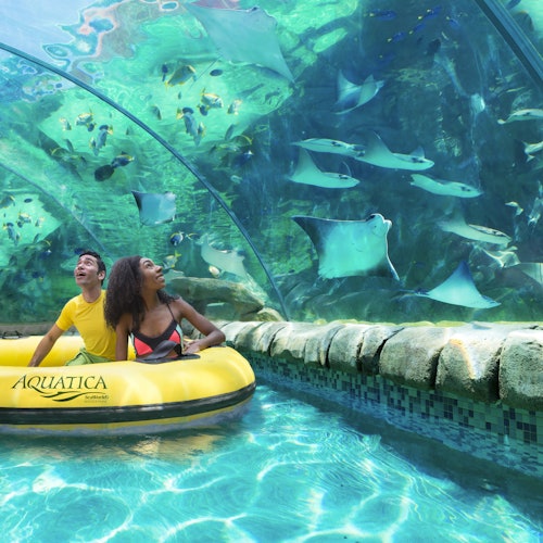 Two people in a yellow inflatable raft in an aquarium tunnel, surrounded by swimming stingrays and fish.