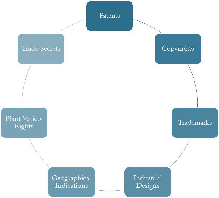 Protecting Innovations in the Startup Ecosystem