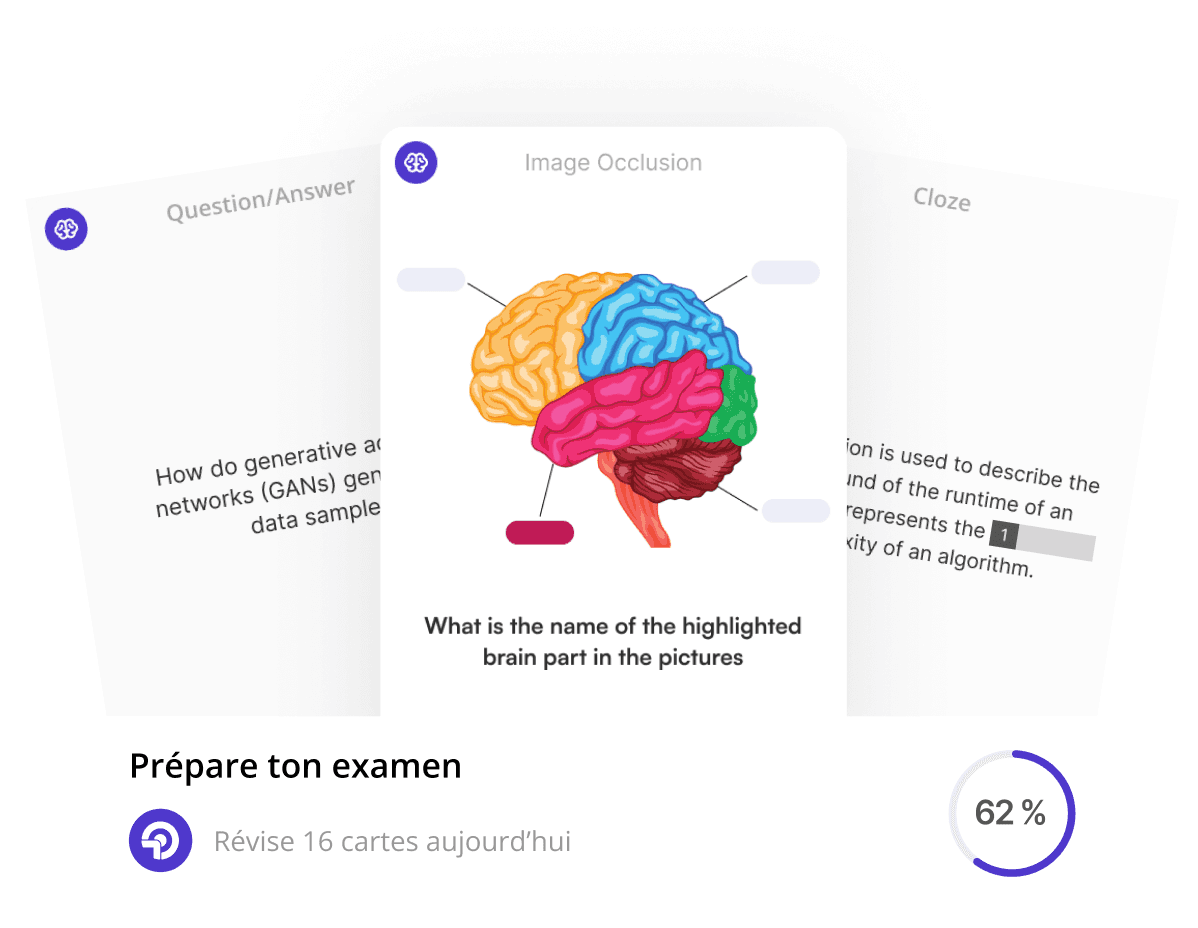 Trois exemples de flashcards