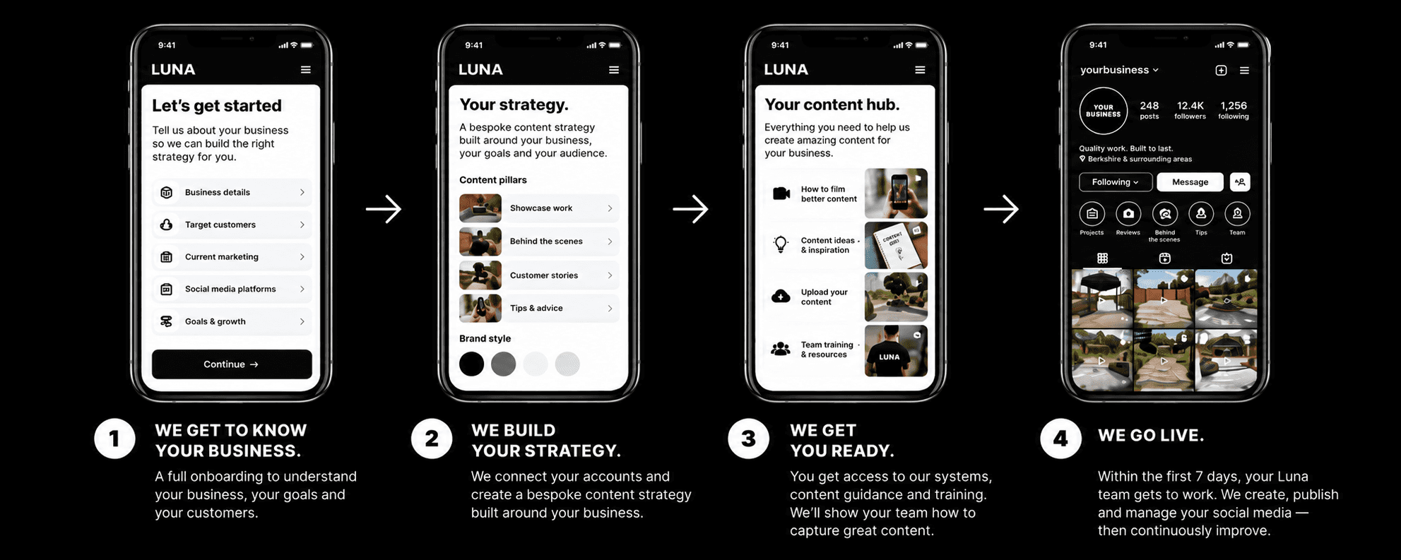 Luna Media content and business results overview