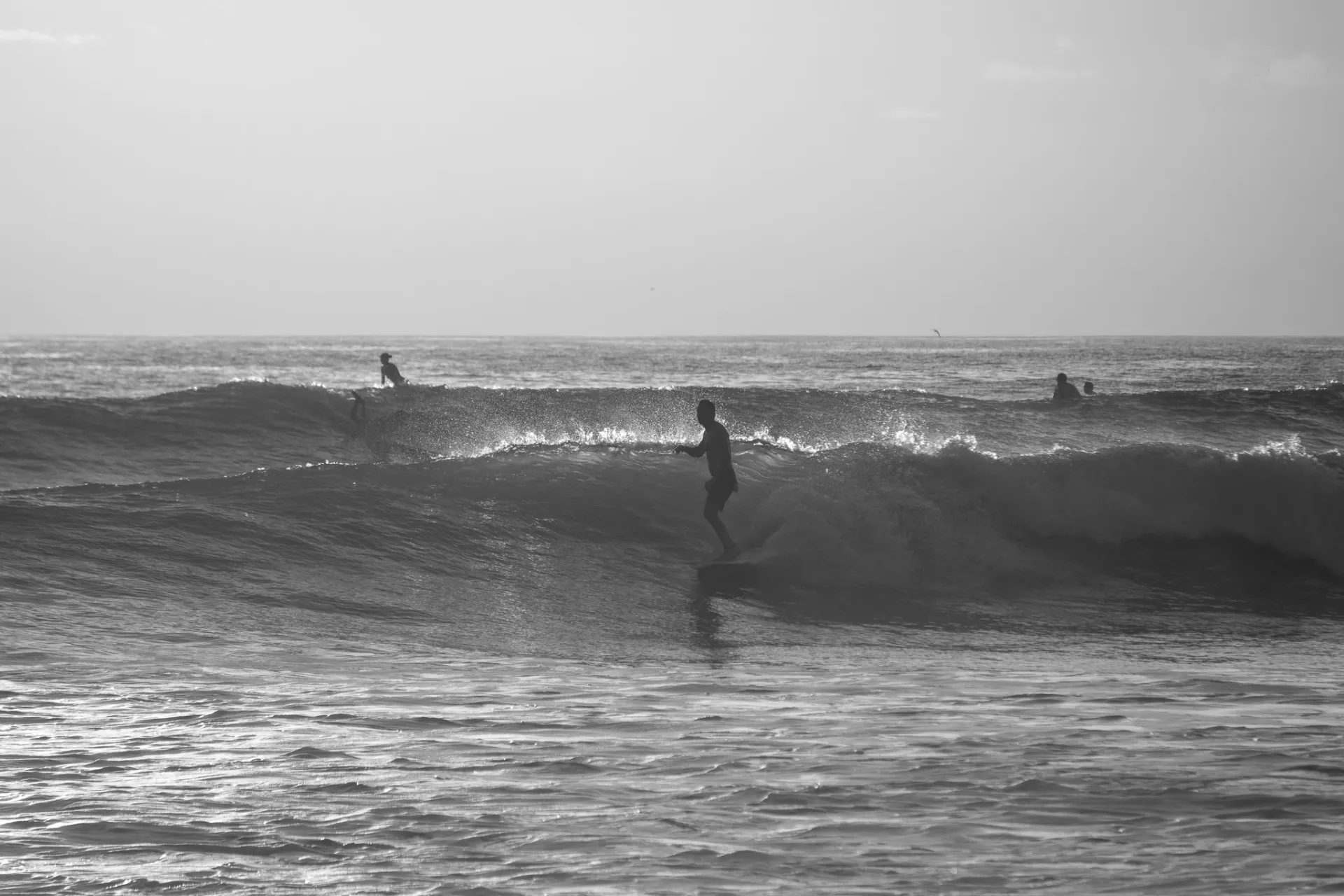 Surfers and beachgoers on the beach in Santa Teresa, Costa Rica at sunset