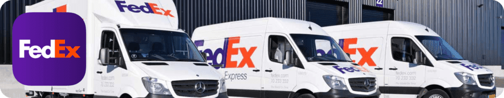 Shipping to Germany with FedEx