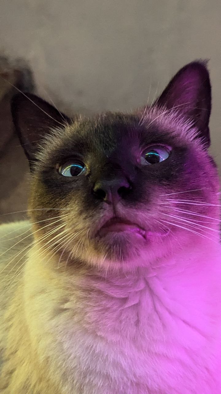 The best girl in the world