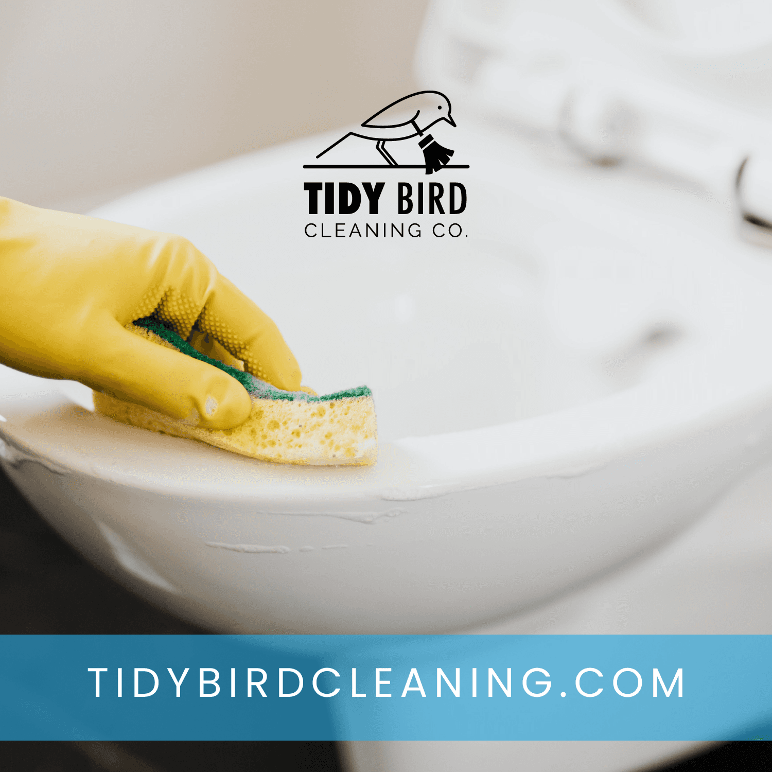 tidy bird cleaning burlington oakville