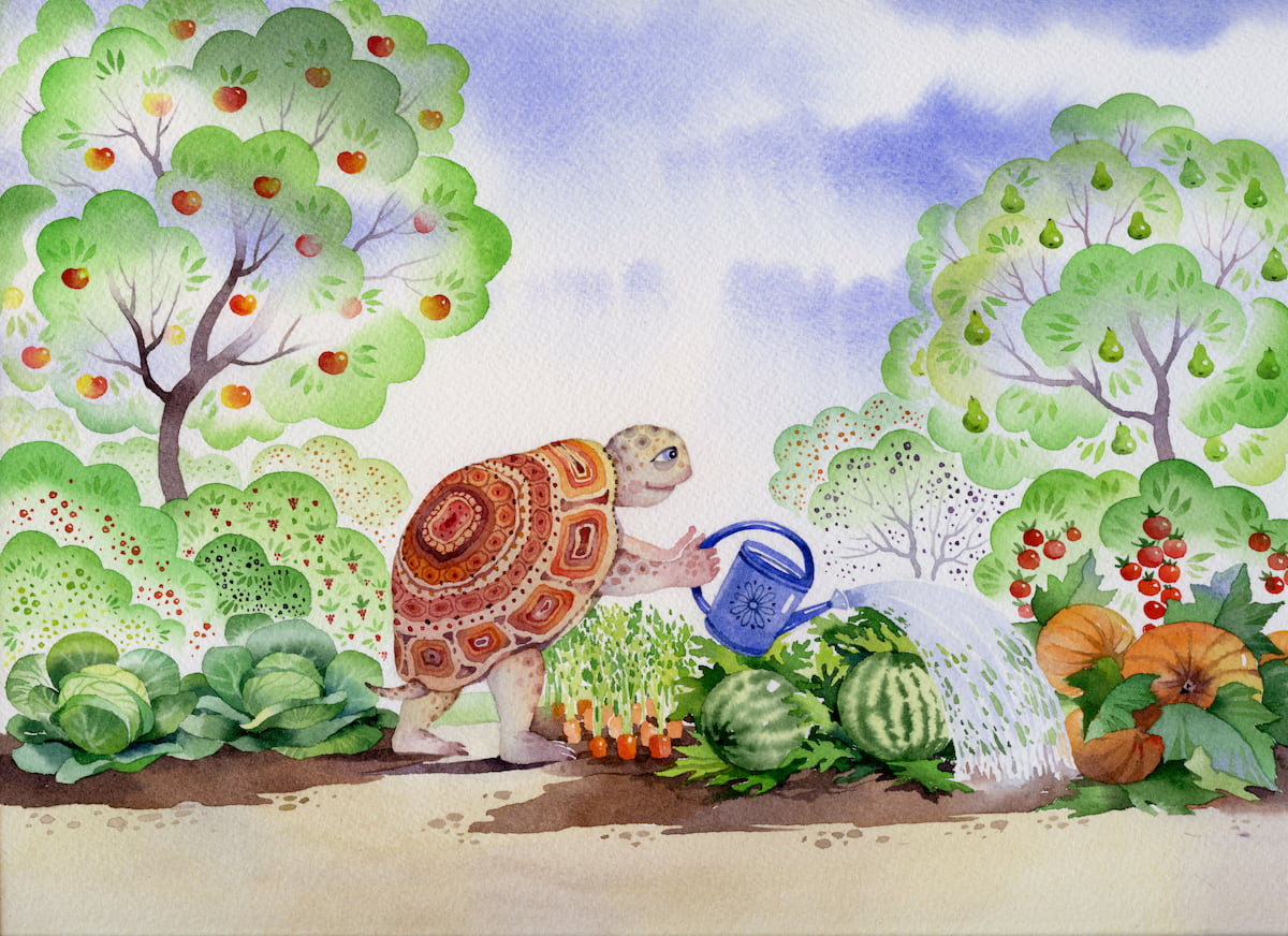 vladimir-shpitalnik-watercolor-illustration-turtle-garden-online-educational-learning-game