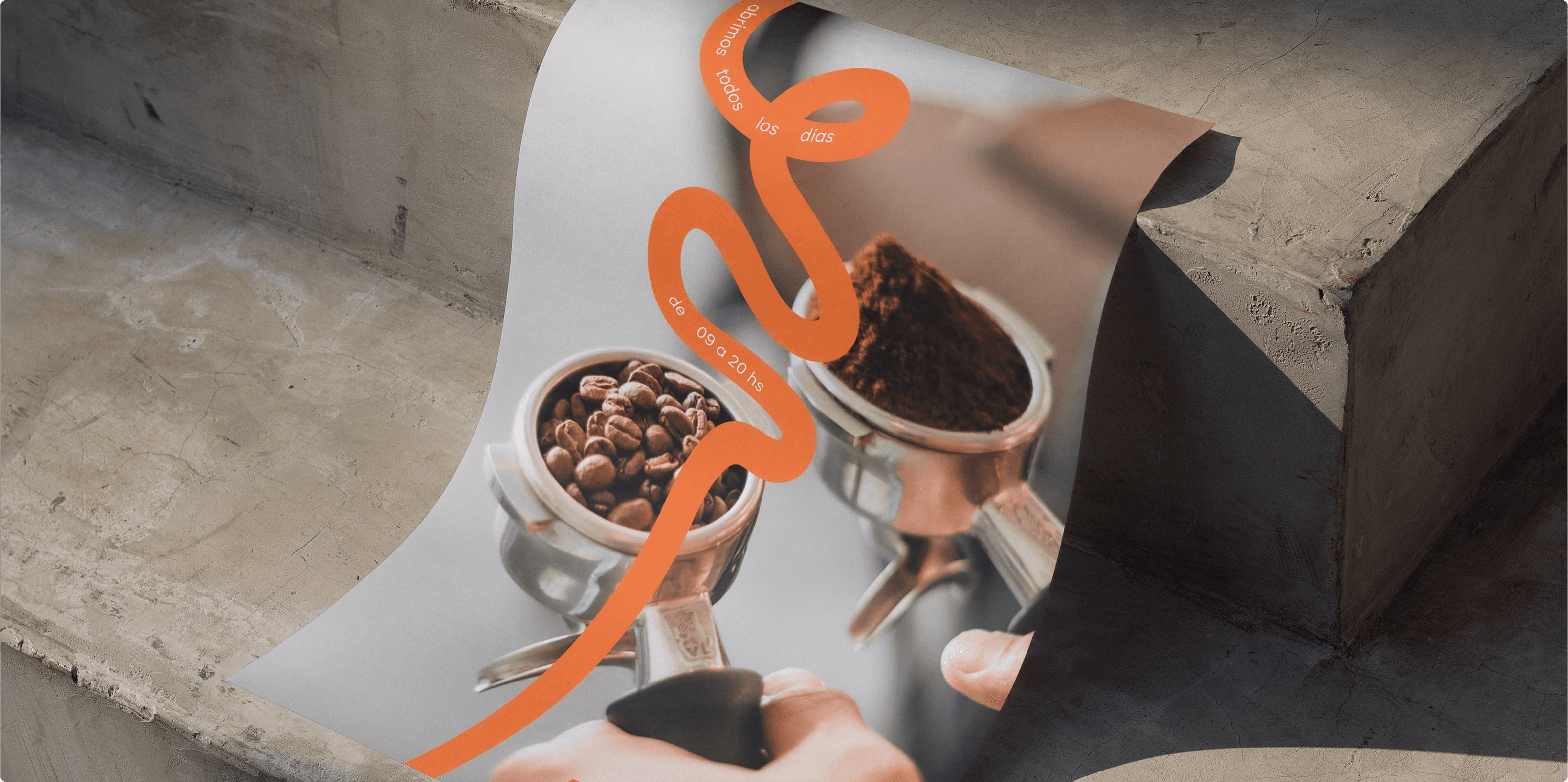 Lush garden with blooming hydrangeas and a house