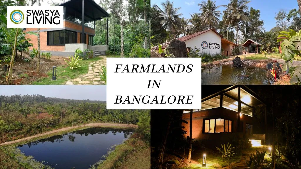 Best Farmlands in Bangalore