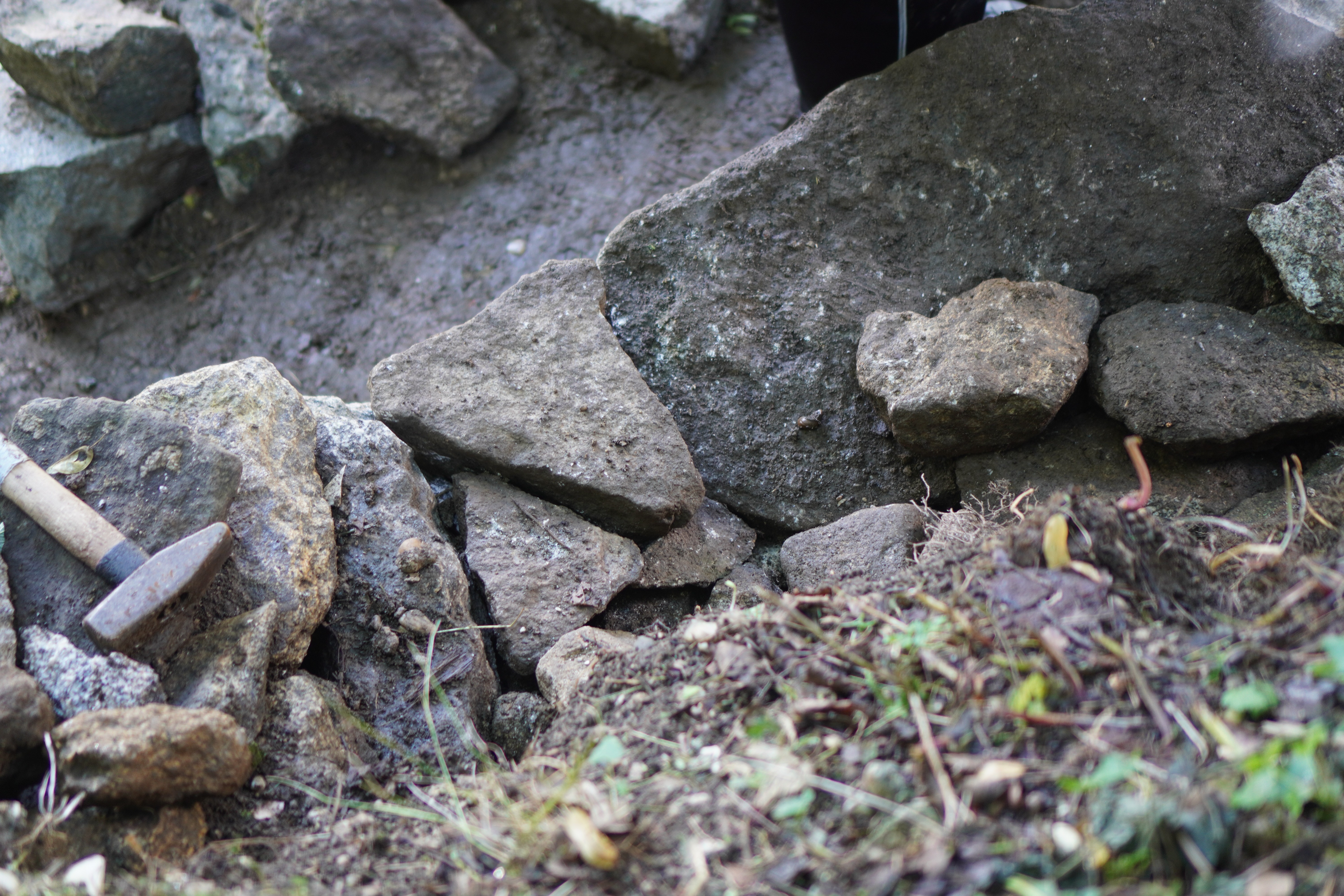 Profilbild HInterfüllung