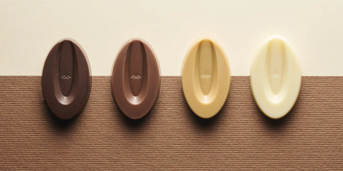 4 fèves Valrhona (noir, lait, dulcey, ivoire) sur fond bicolore beige/chocolat