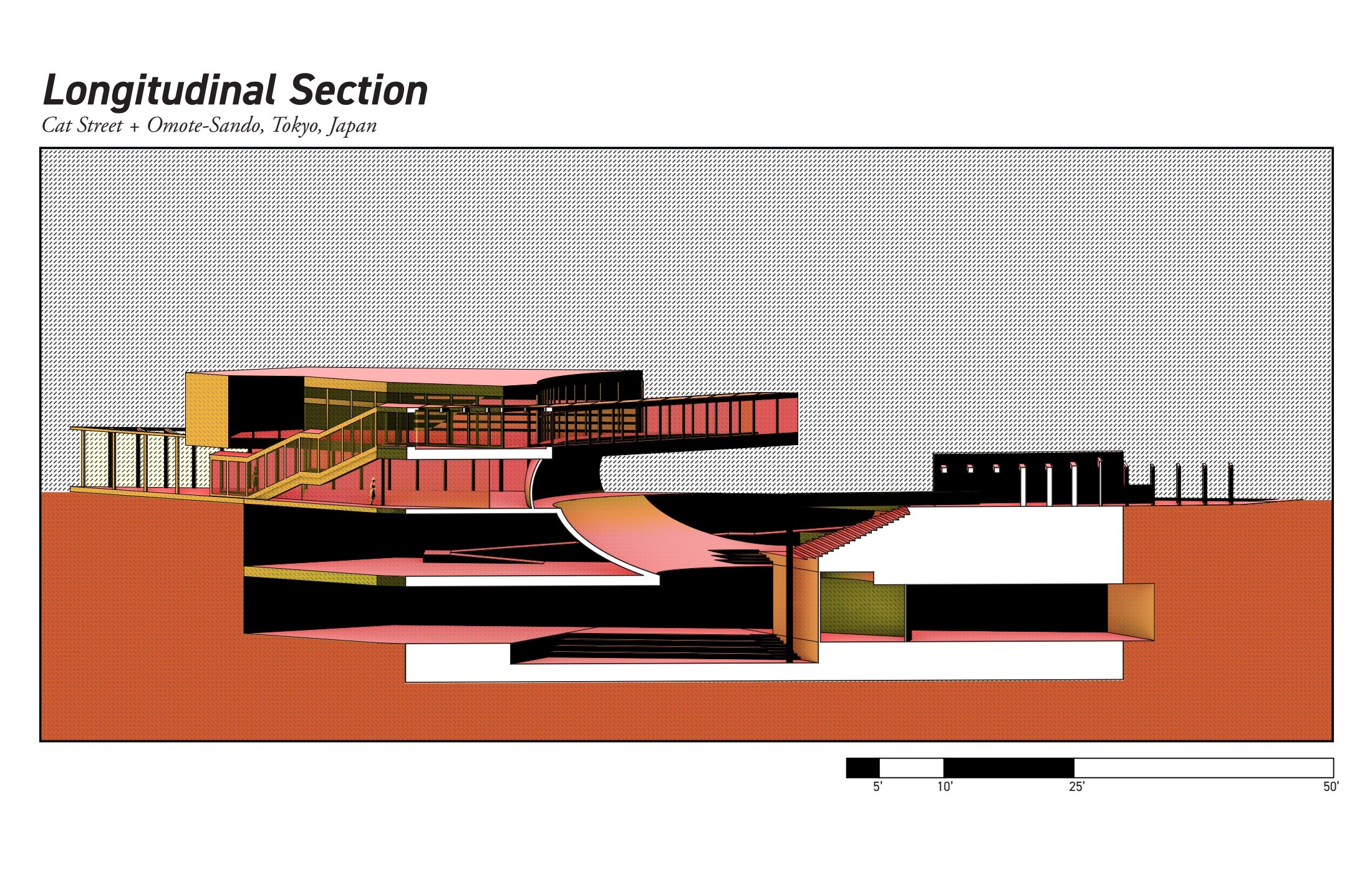 Longitudinal section through the proposal.