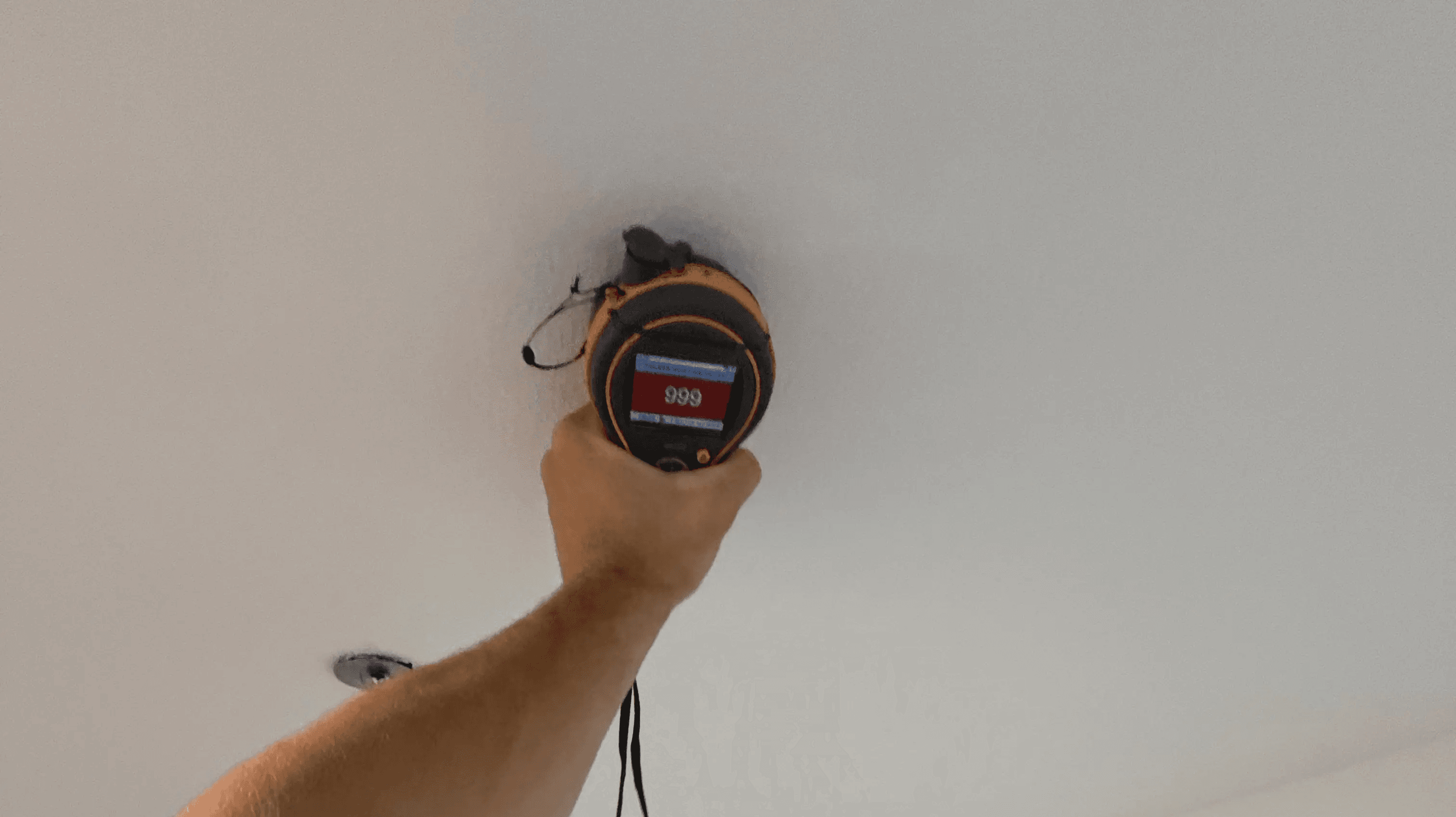 Mold inspector with clients