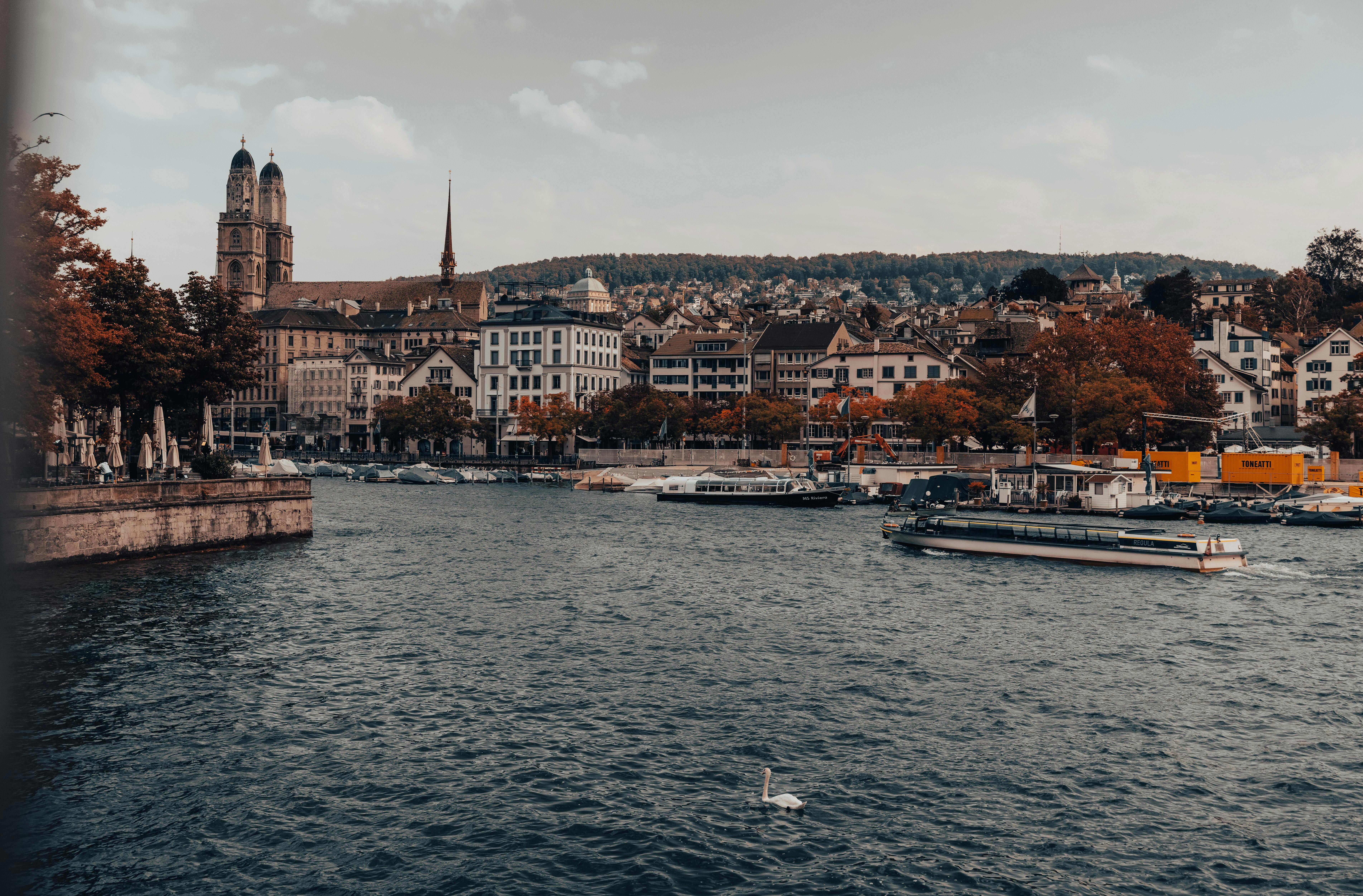 Angelkarten online kaufen in der Schweiz
