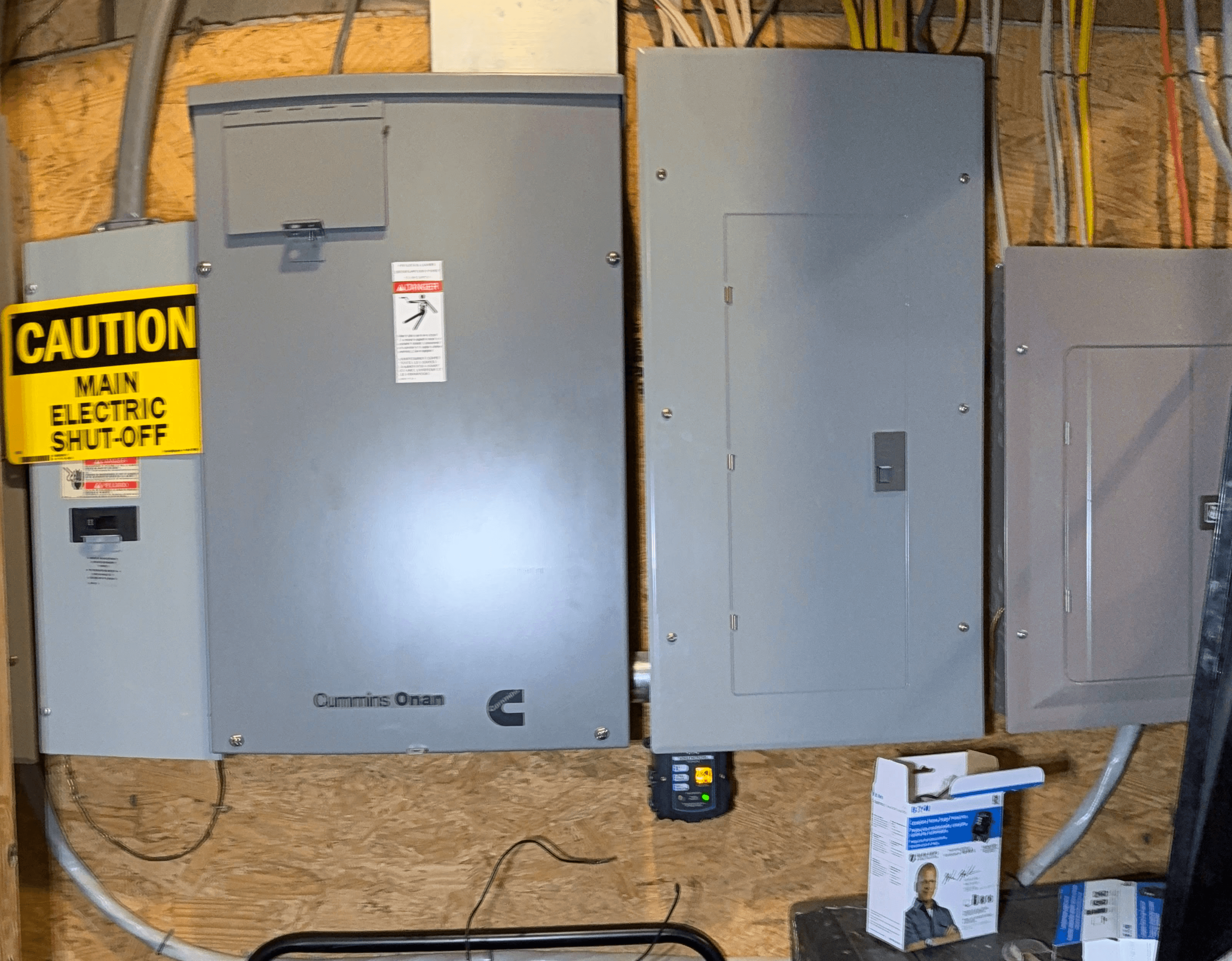 electracl panel replacement whole house surge protection