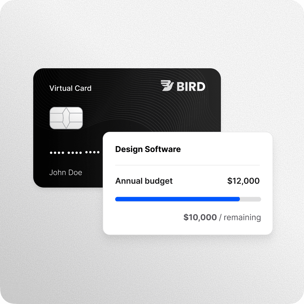 Virtual Bird card beside a budget tracker for design software, showing an annual budget of $12,000 with $10,000 remaining.