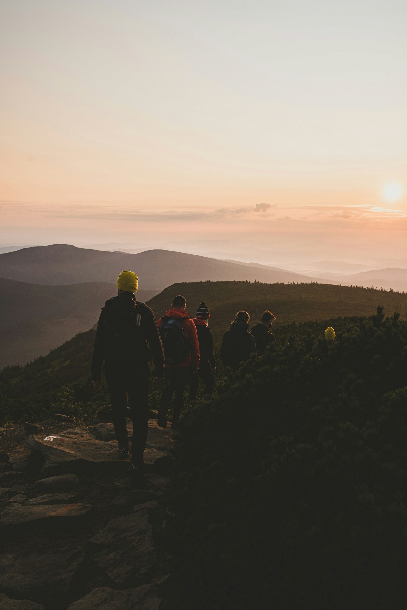 Join Our Upcoming Yoga Workshop Series