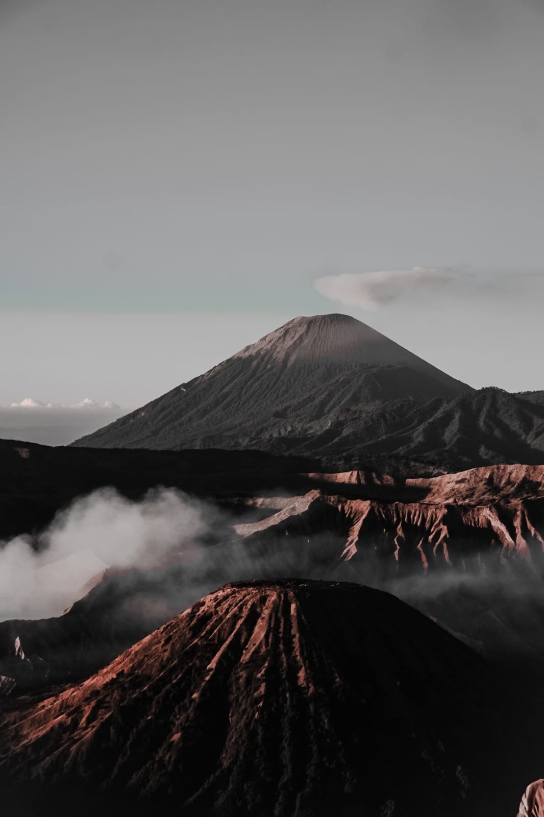Vintage Car Under Palm Trees