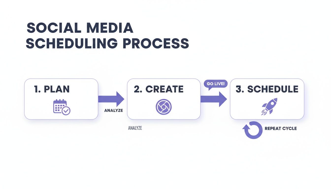 Infographic detailing the social media scheduling process with steps for planning, creating, and scheduling posts.
