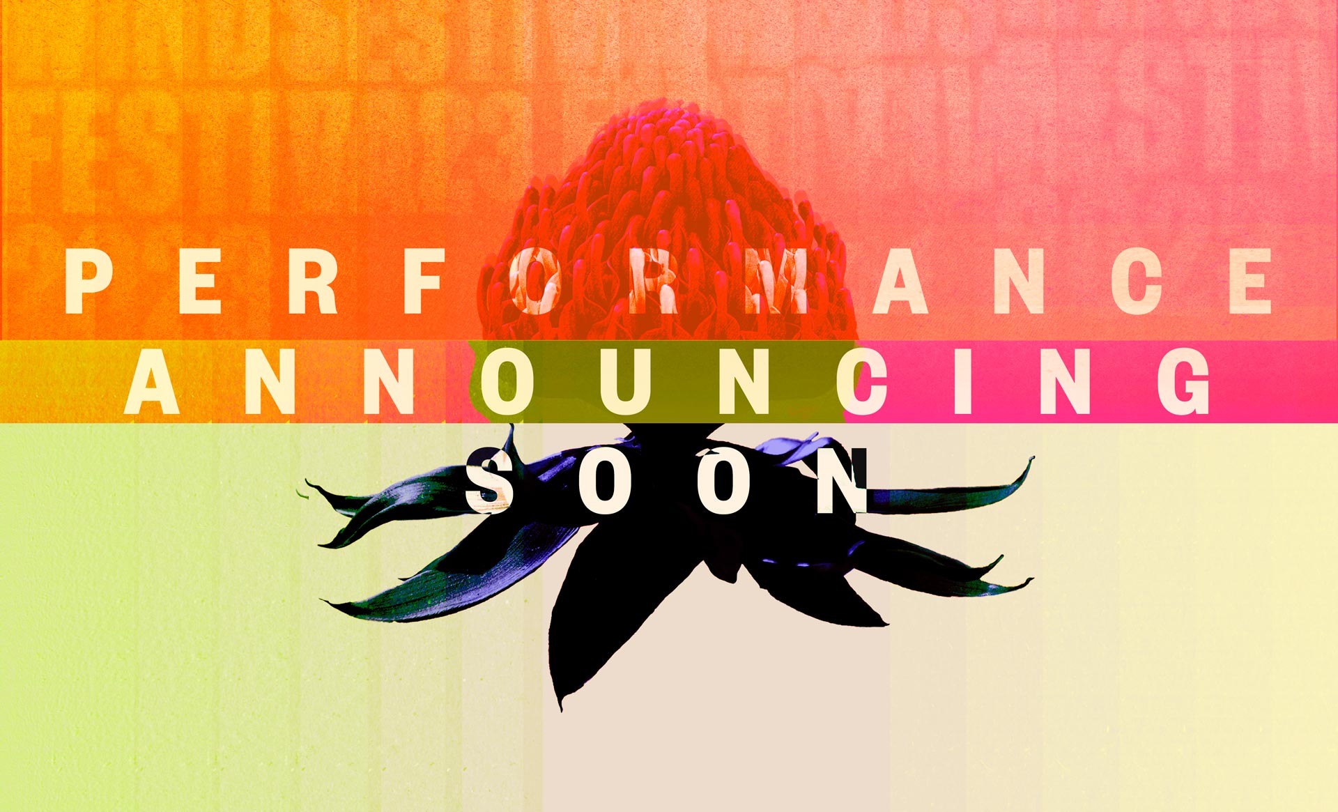 Four Winds festival website landing page with illustration and brand typography.