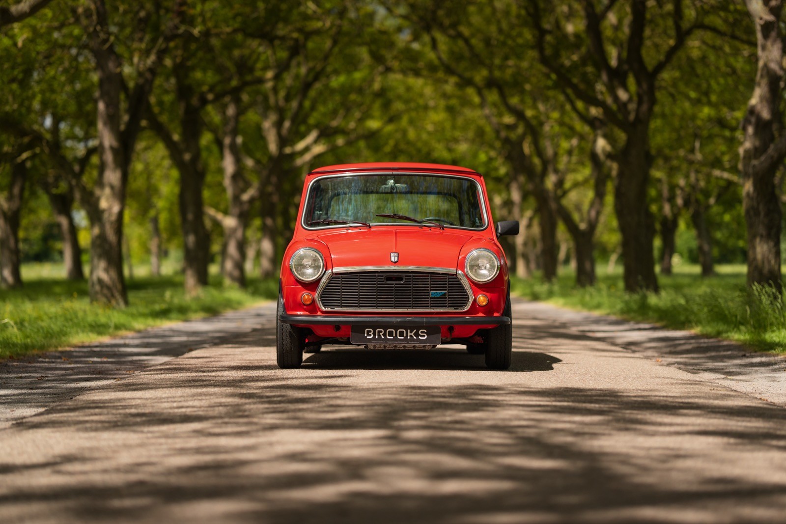 A red car driving down a tree-lined path on a sunny day, creating a serene outdoor scene.