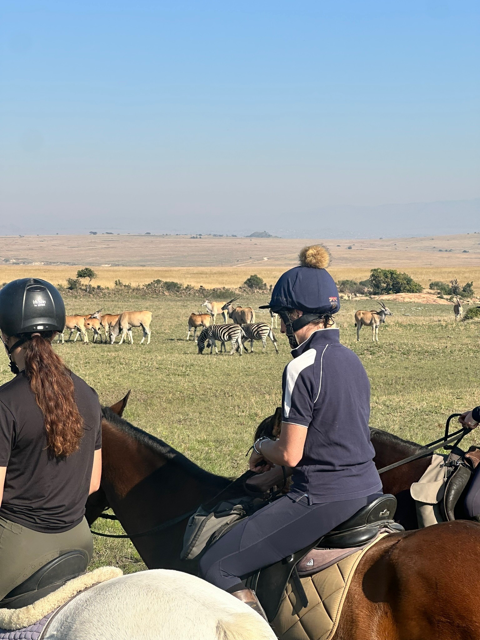 Kilimanjaro Elephant Ride, Arusha National Park, Tanzania – elefant i högt gräs tittar mot kameran, medan fem ryttare till häst på ridsafari i bakgrunden betraktar elefanten i ett grönt och frodigt landskap.
