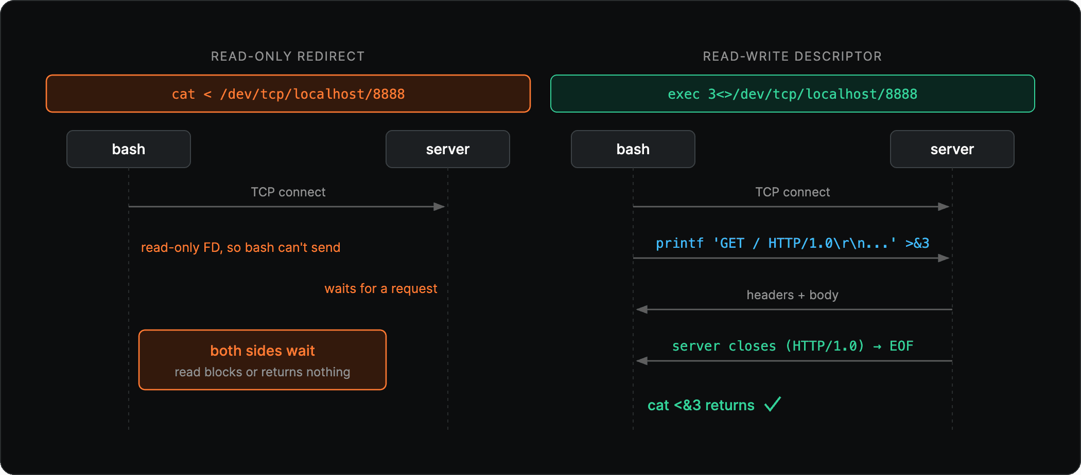 Sequence diagram comparing cat < /dev/tcp, which waits forever because no request is sent, with exec 3<>, which sends an HTTP/1.0 request and reads the response until the server closes
