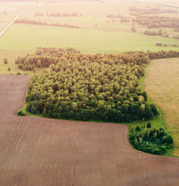 Consultoria Ambiental | RURALPLAN