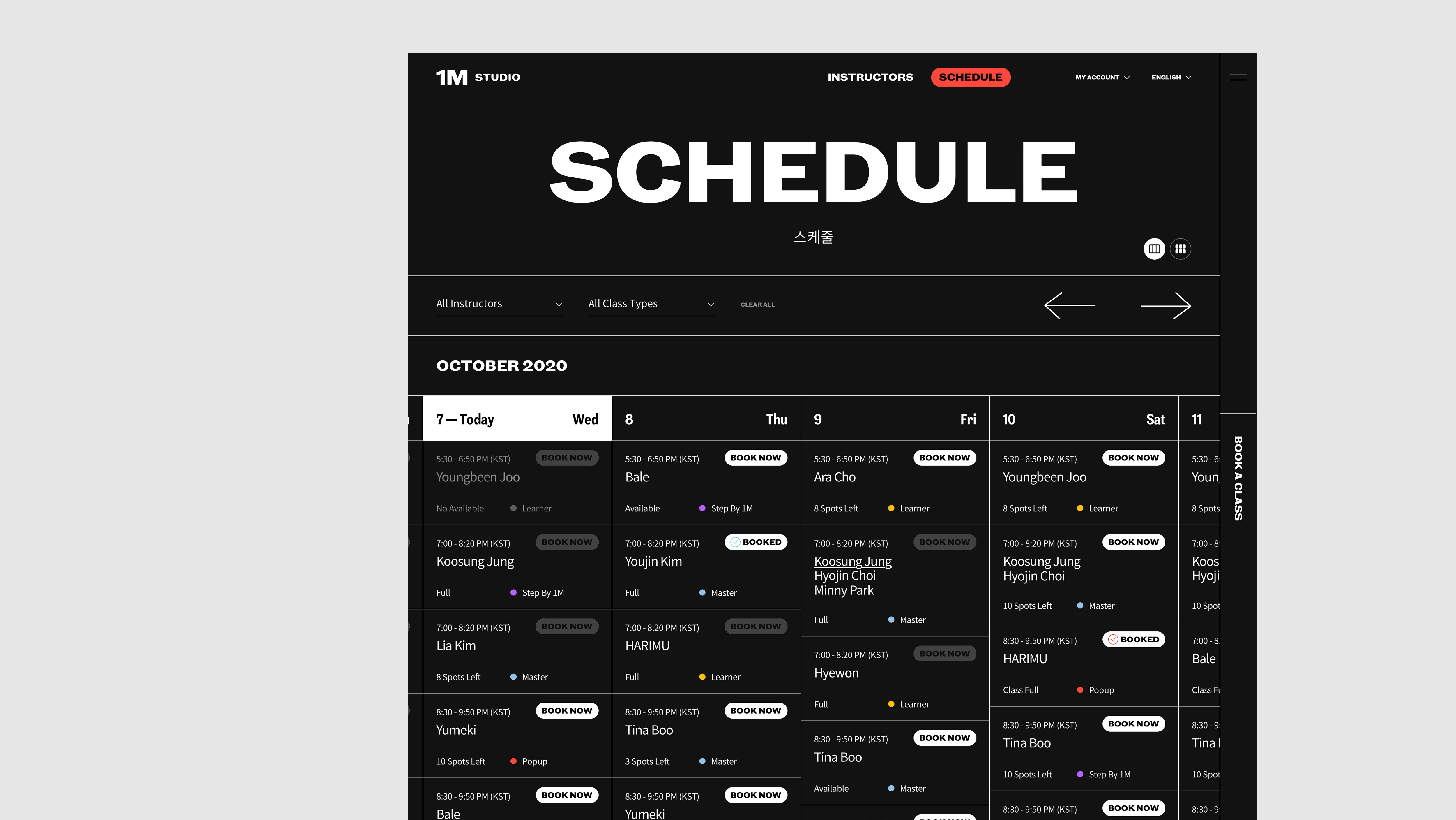 Project Page